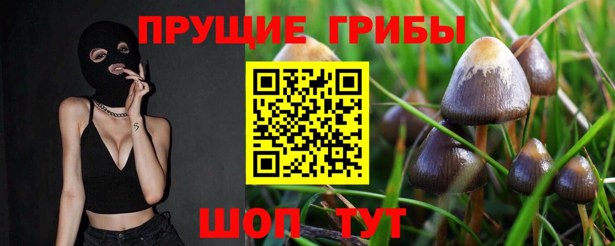Псилоцибиновые грибы GOLDEN TEACHER Богданович
