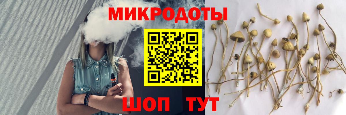 Богданович  Псилоцибиновые грибы ЛСД  Вход с VPN 
